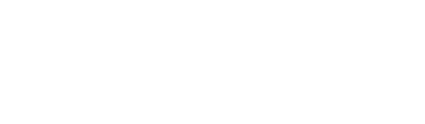 Minera Vizcachitas Holding